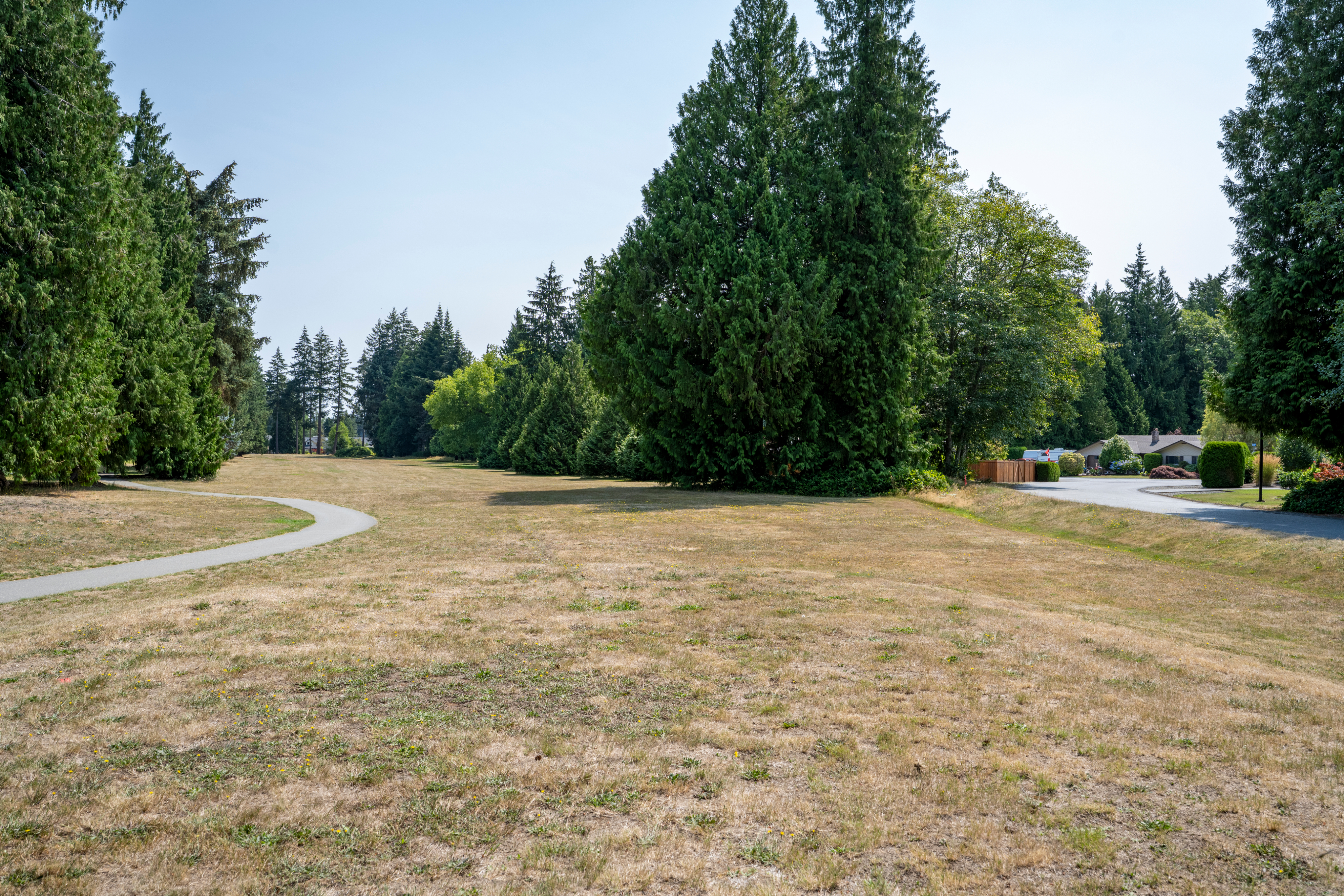 photo: the parkland with tree line and path